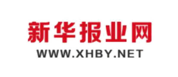 新华报业网